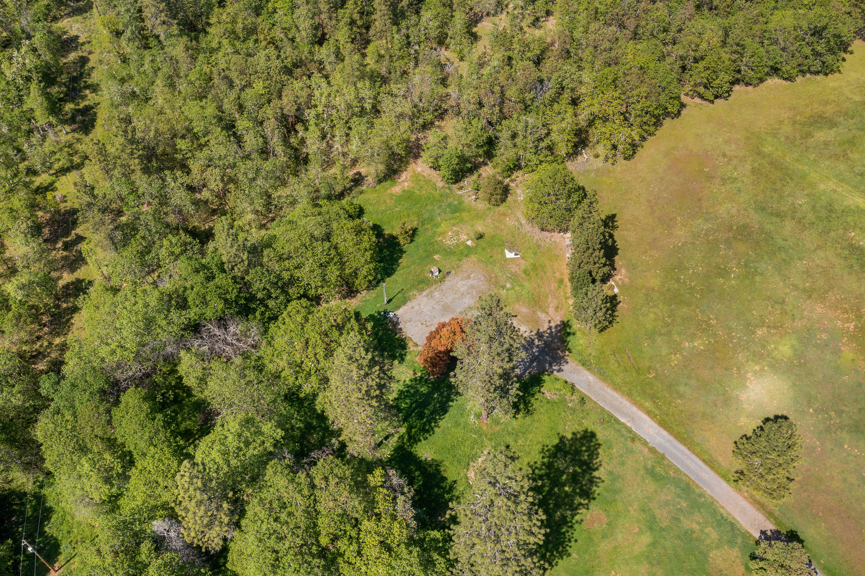 6798 Hugo Road Grants Pass, OR 97526 - Photo 9 of 38 Approved homesite