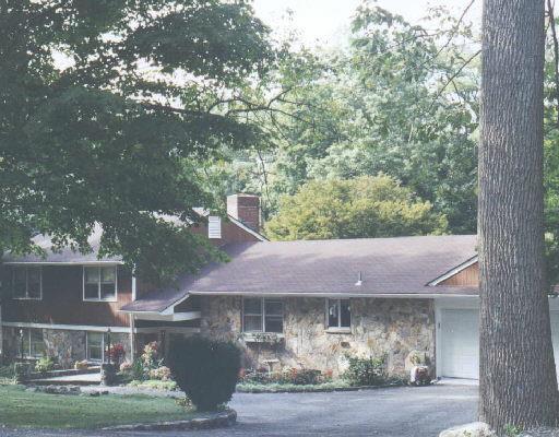 a small pool with a tree in the background