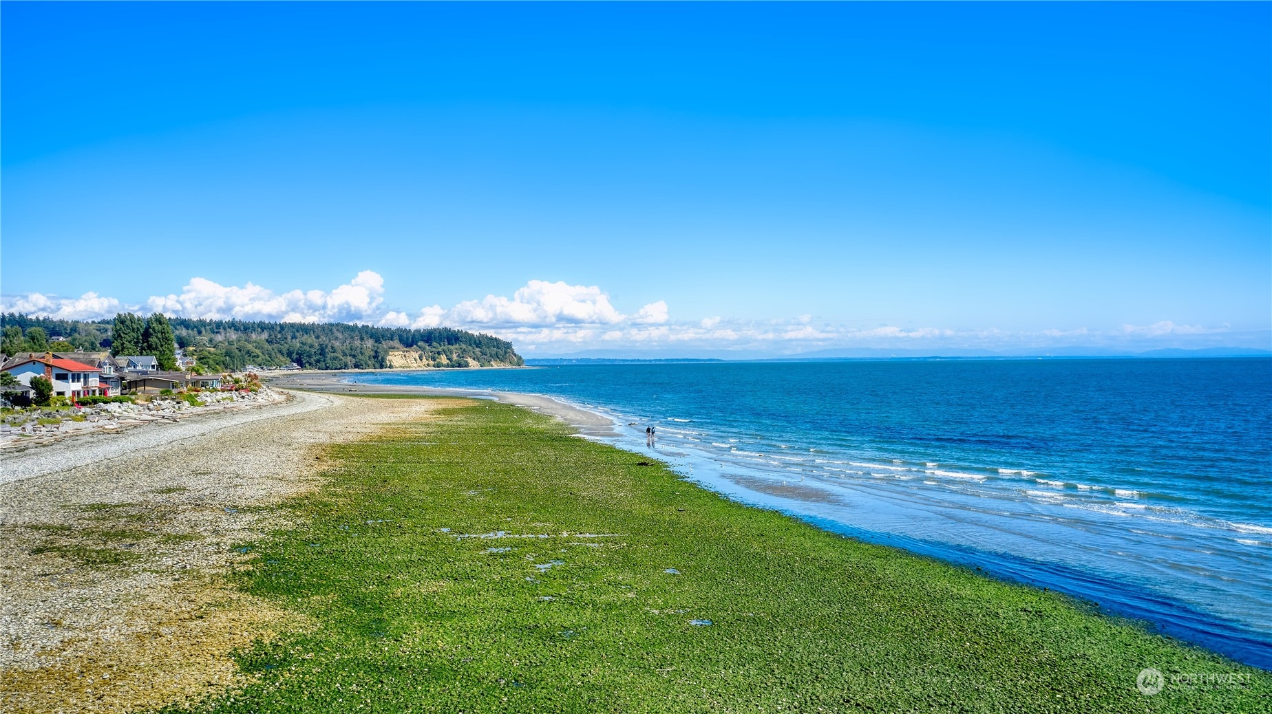 1728 Edwards Drive Point Roberts, WA 98281 - Photo 11 of 31