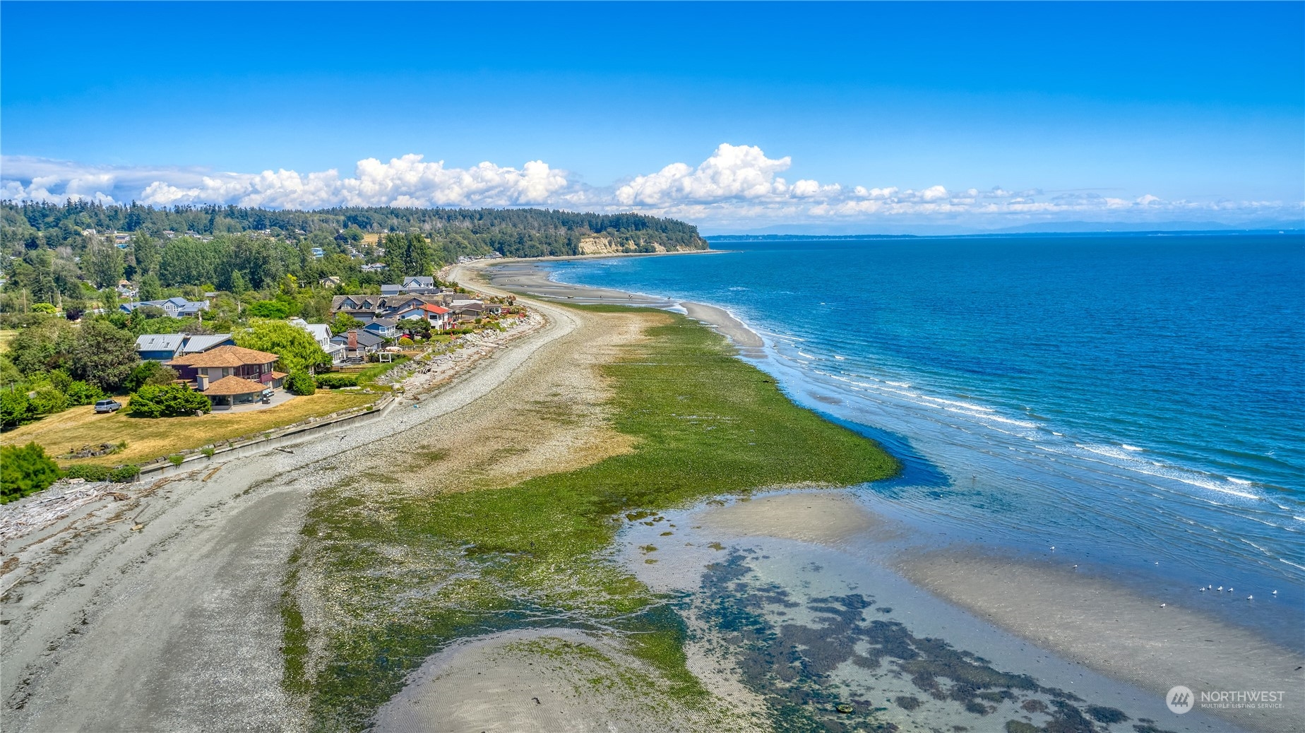 1728 Edwards Drive Point Roberts, WA 98281 - Photo 8 of 31