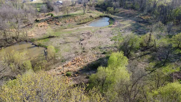 a view of a yard with trees