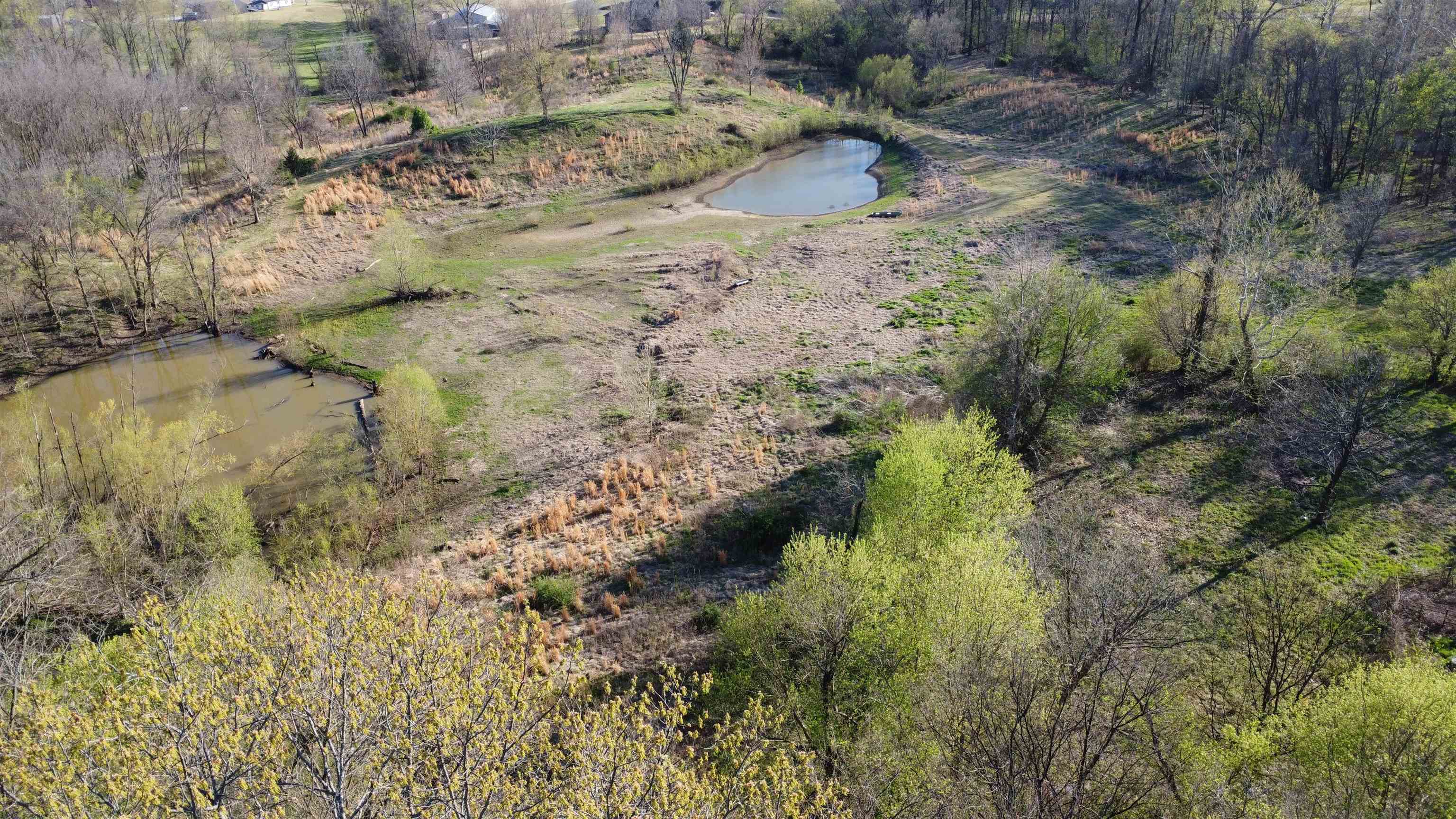 4075 Arp Central Road Ripley, TN 38063 - Photo 21 of 37 Property has 22 Acres.Stocked Pond!