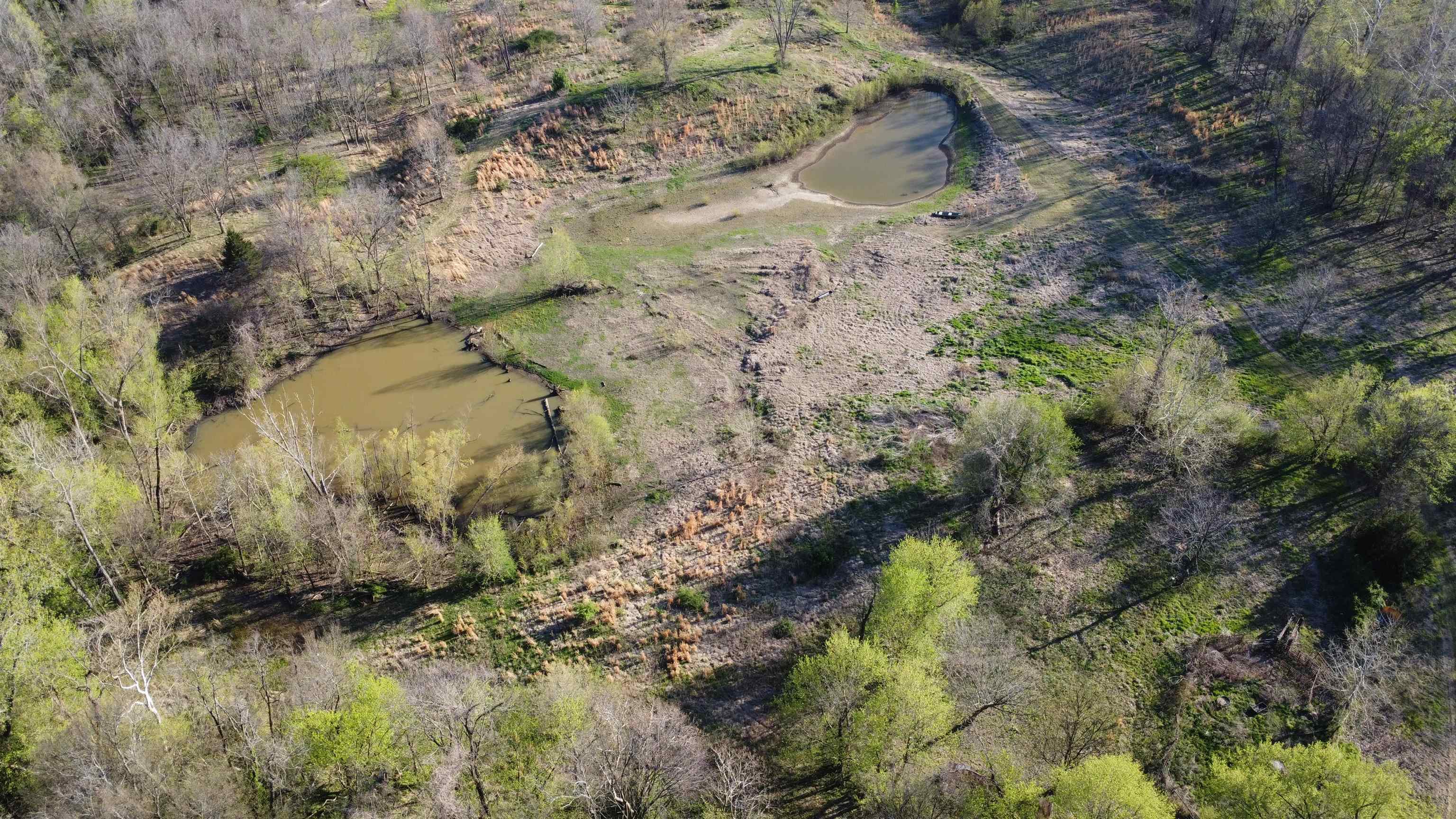 4075 Arp Central Road Ripley, TN 38063 - Photo 24 of 37 Property has 22 Acres.Stocked Pond!