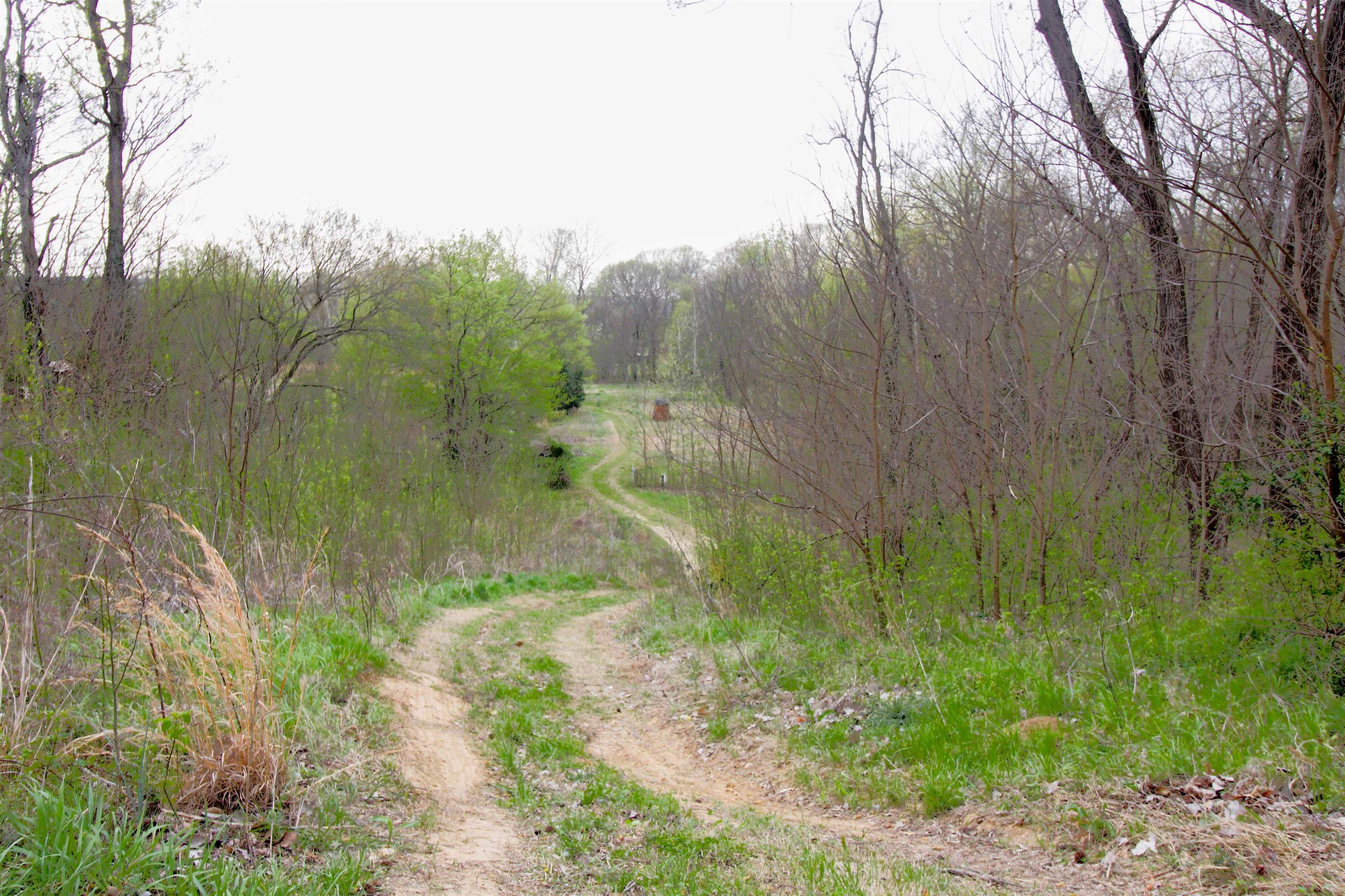 4075 Arp Central Road Ripley, TN 38063 - Photo 35 of 37 Additional Driveway to back of property and Pond