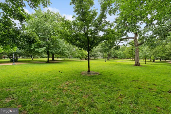 a view of grassy field with benches