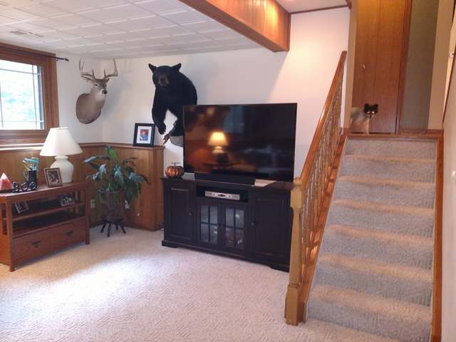 3572 North Faust Lk Road Rhinelander, WI 54501 - Photo 6 of 11 Gallery Image 6