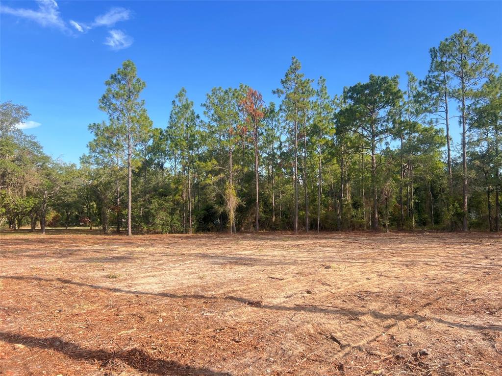 Levy Street Williston, FL 32696 - Photo 20 of 26