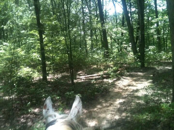 9999 Hales Fork Road Flat Lick, KY 40935 - Photo 19 of 47 IMG_0598