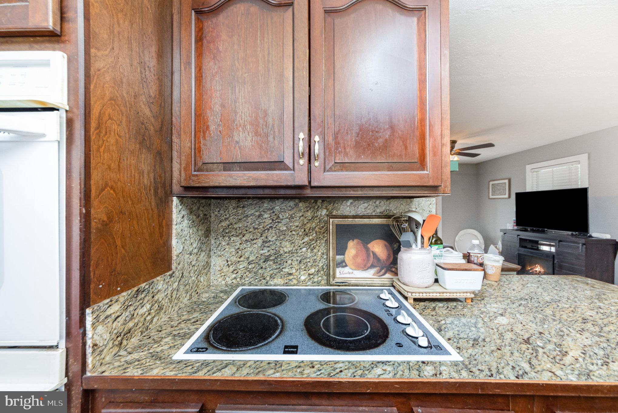 19803 Anderson Mill Road Beaverdam, VA 23015 - Photo 10 of 25