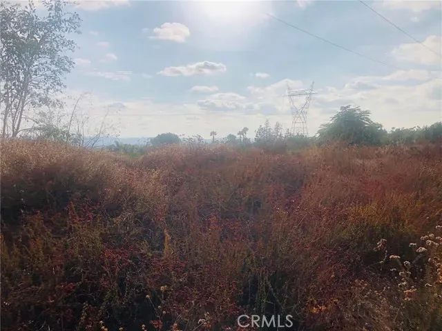 a view of a big yard of a house