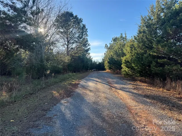 a view of a yard with a tree