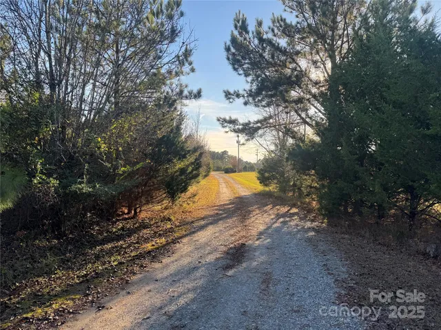 a view of road with trees