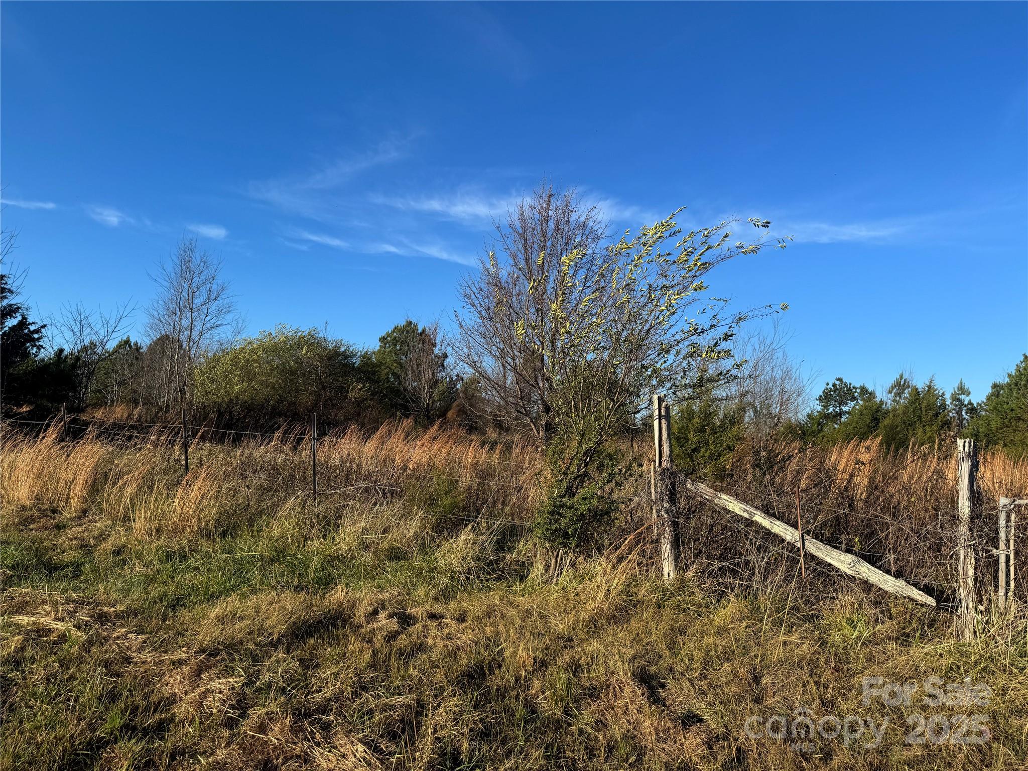 0 Bradley Road Gaffney, SC 29341 - Photo 4 of 13 a view of a lake