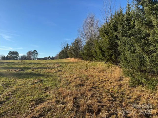 a view of yard with swimming pool and green space