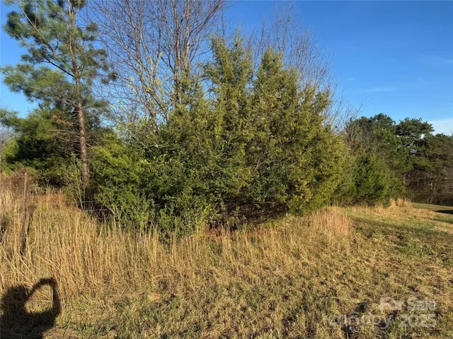 a view of an ocean from a yard
