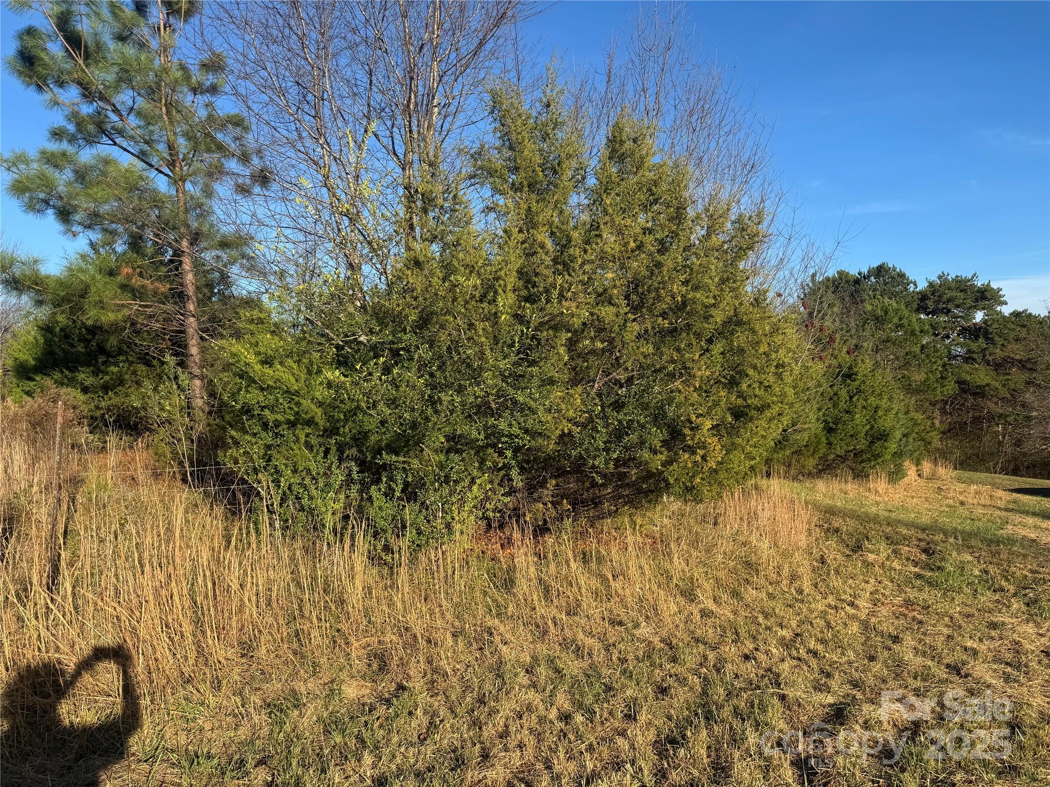 0 Bradley Road Gaffney, SC 29341 - Photo 8 of 13 a view of a yard