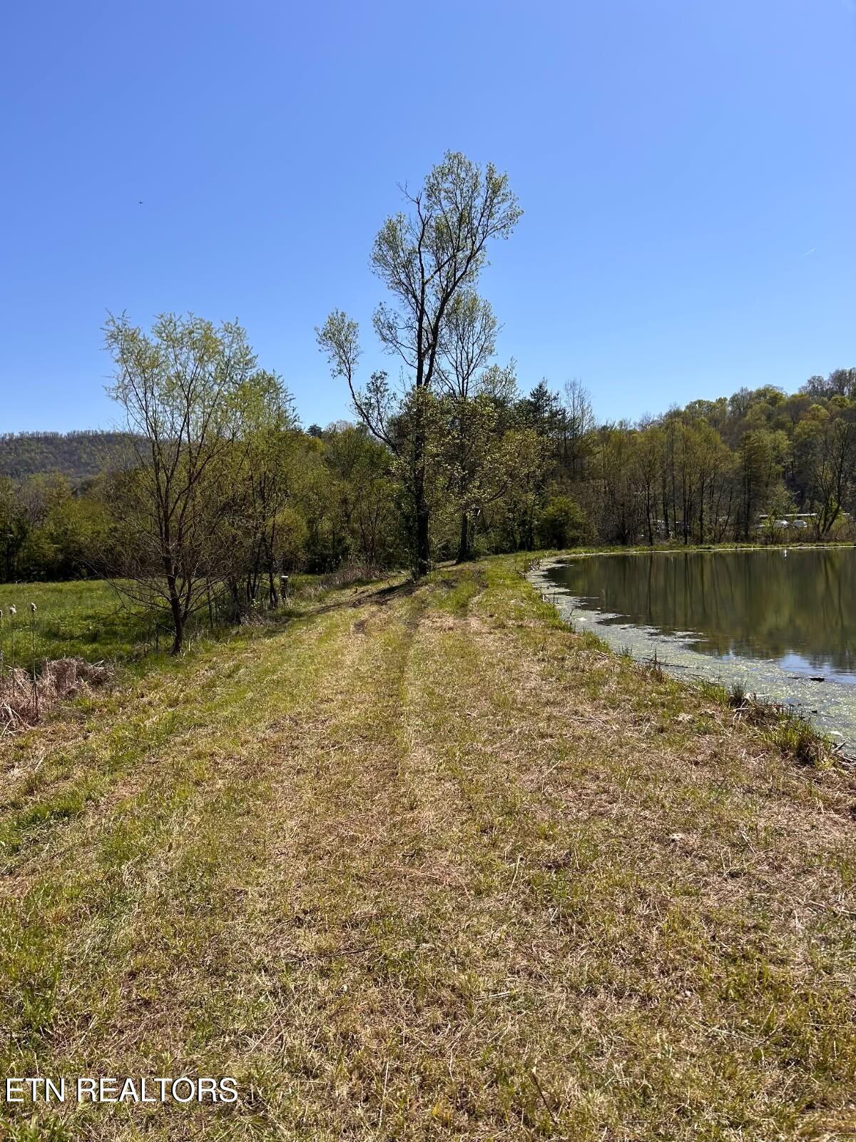275 Republican Hill Road Newcomb, TN 37819 - Photo 30 of 34 Pond Area