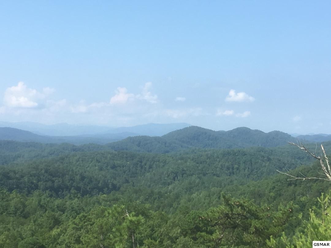 43555 Wilhite Road Cosby, TN 37722 - Photo 5 of 11