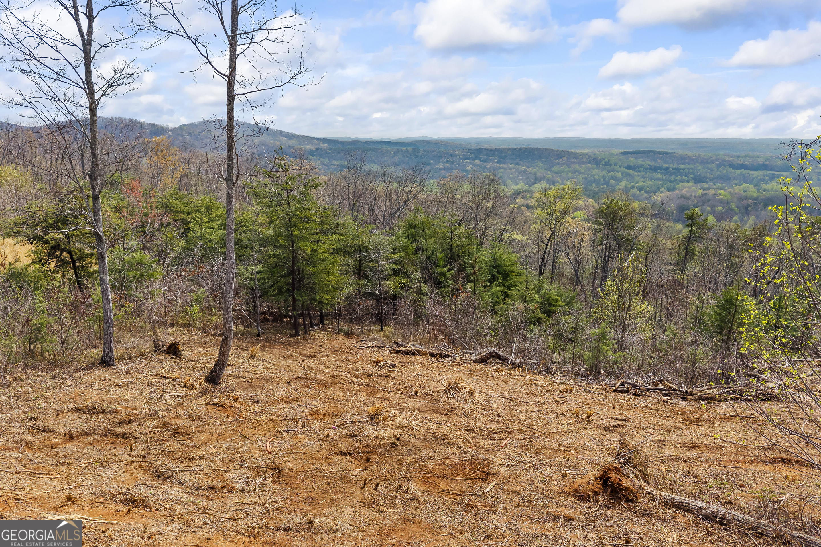 Lot 36 Mountain Ridge Drive Clarkesville, GA 30523 - Photo 29 of 53