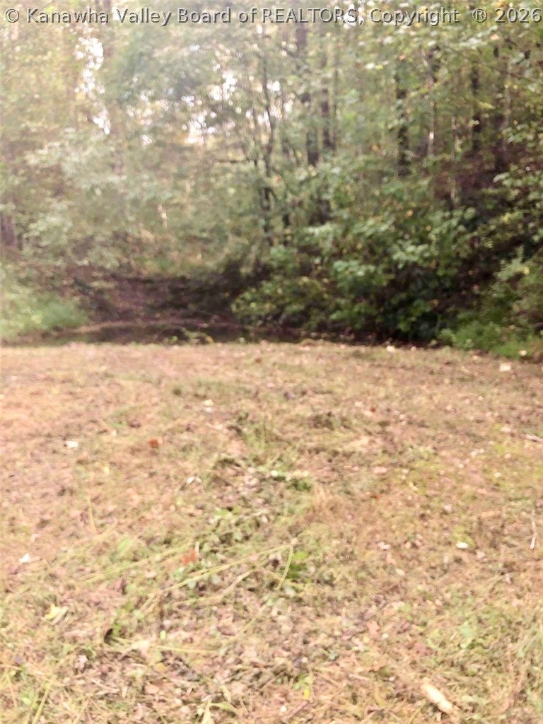 0 Vanatters Creek Road Ranger, WV 25557 - Photo 4 of 12 Gallery Image 4