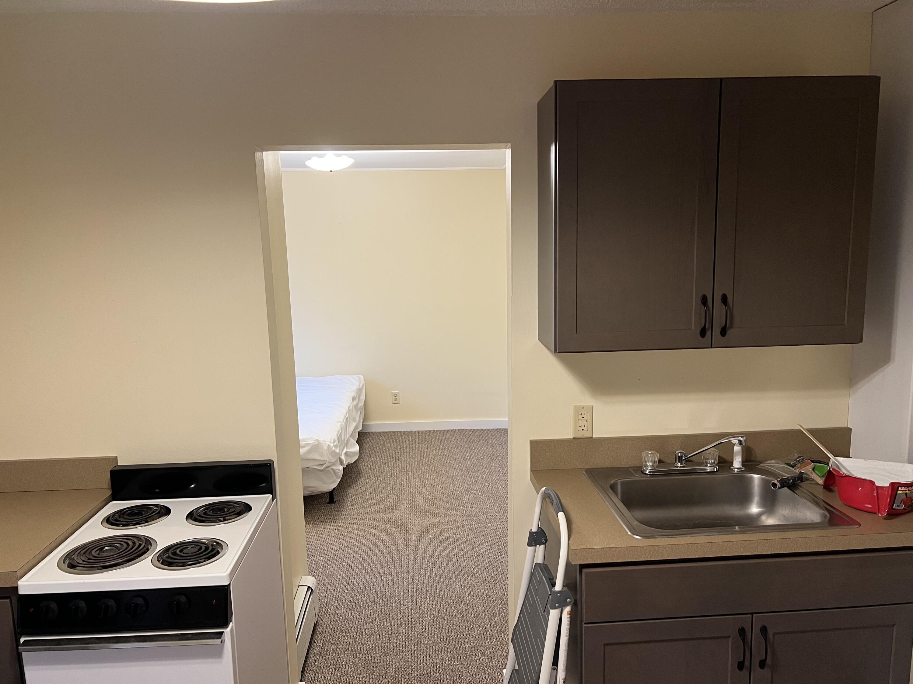 129 Perham Street Farmington, ME 04938 - Photo 34 of 133 IMG_1502