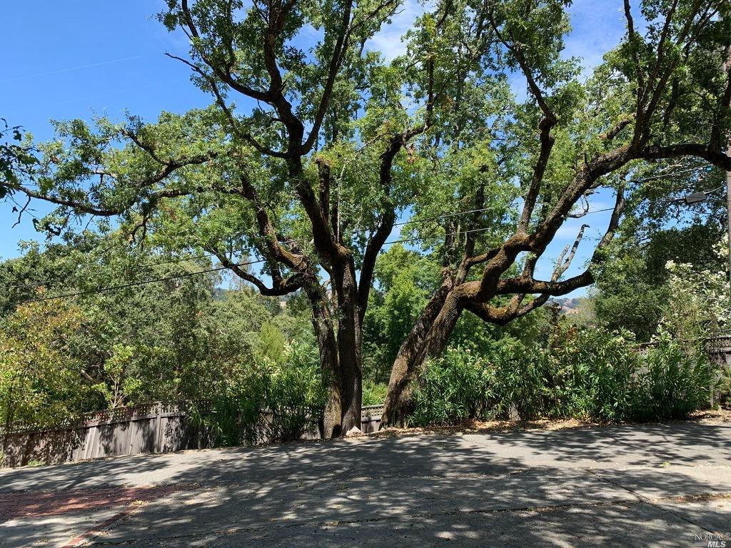 848 Acalanes Road Lafayette, CA 94549 - Photo 29 of 36