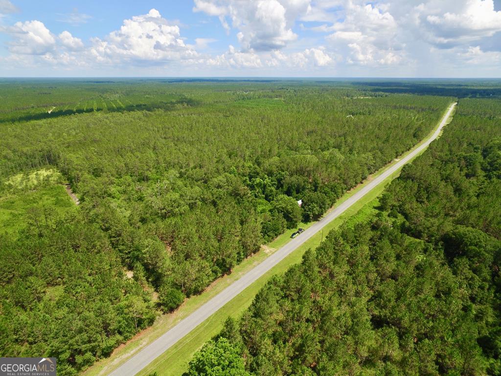 3 & 4 Acres Manningtown Road Jesup, GA 31546 - Photo 1 of 1 Main View