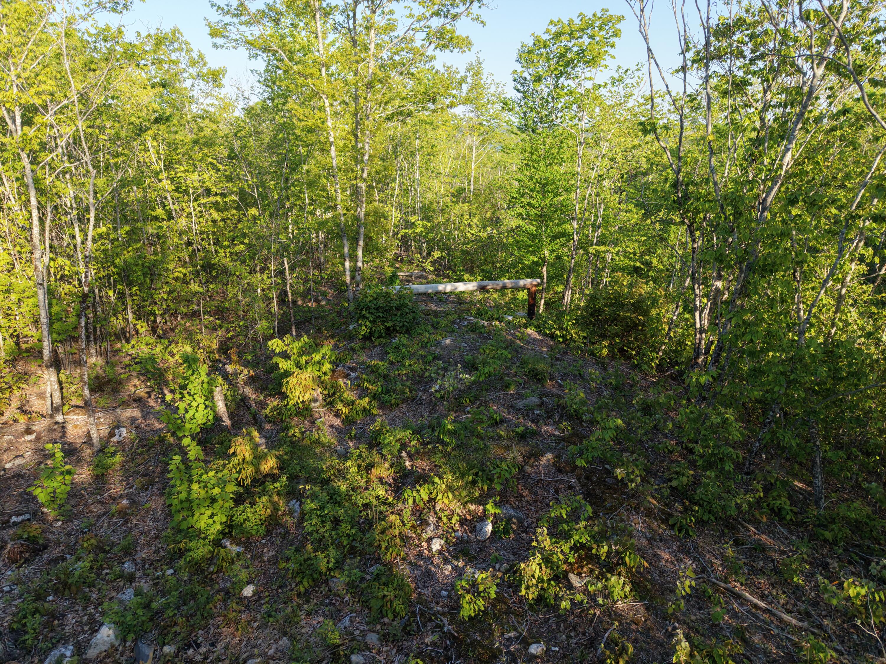 2 Grande View Road Orland, ME 04472 - Photo 4 of 4 4