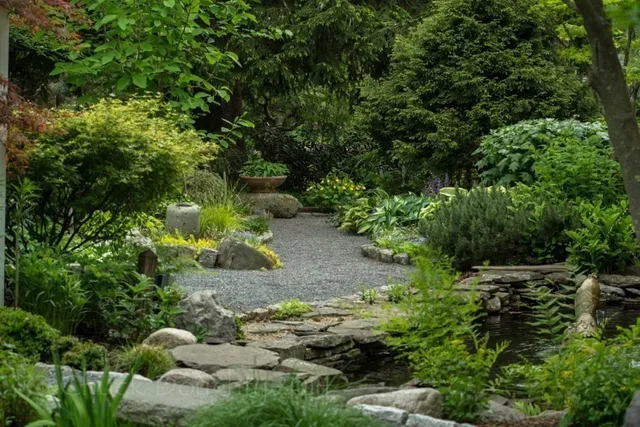 a view of a bunch of plants and trees