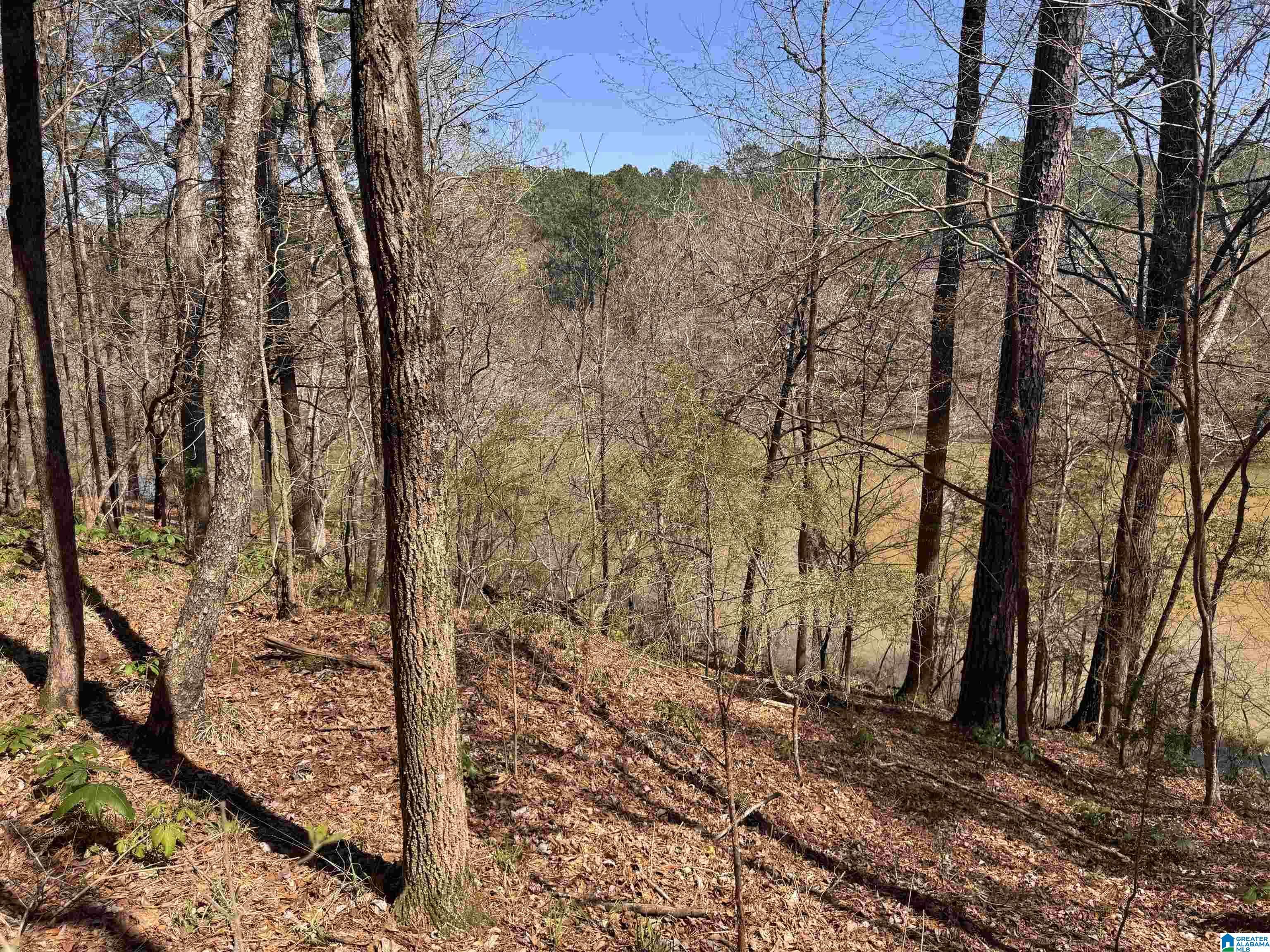 0 Finnell Road Northport, AL 35475 - Photo 6 of 6