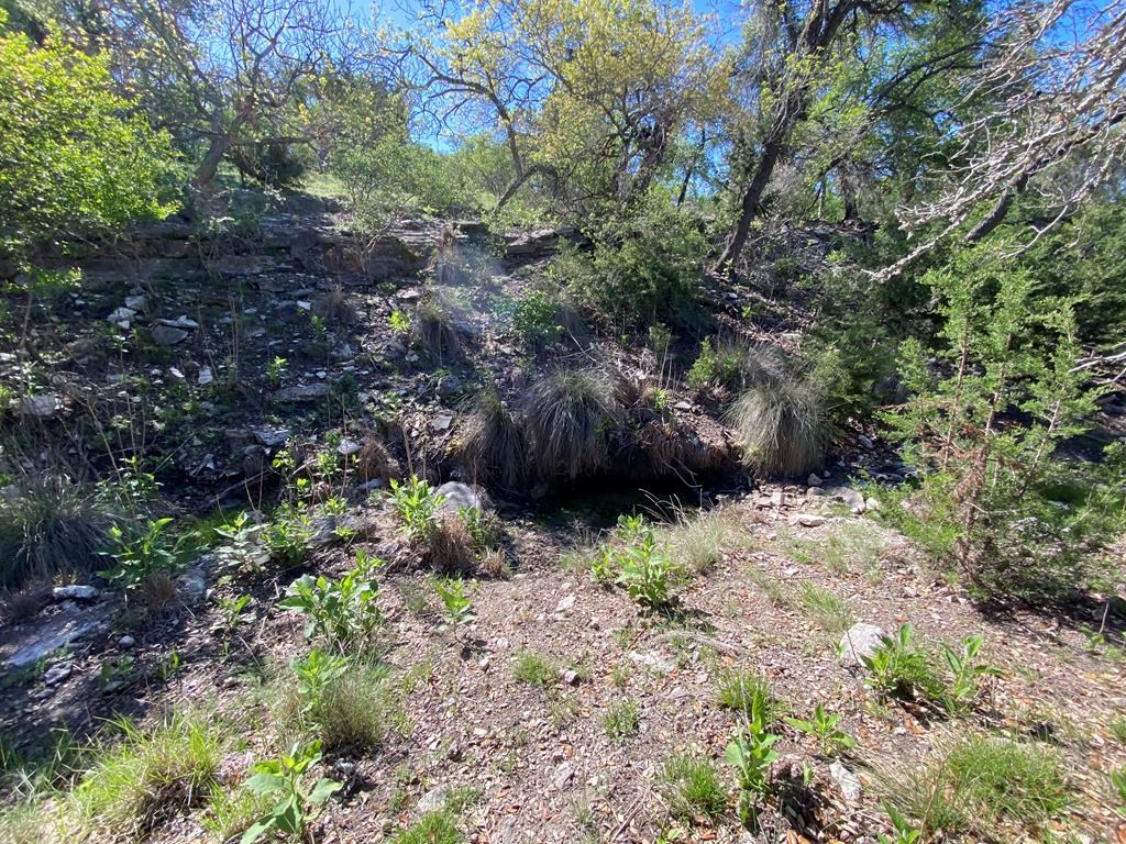 624 Deer Road, Unit 39 Fredericksburg, TX 78624 - Photo 11 of 43 Gallery Image 11