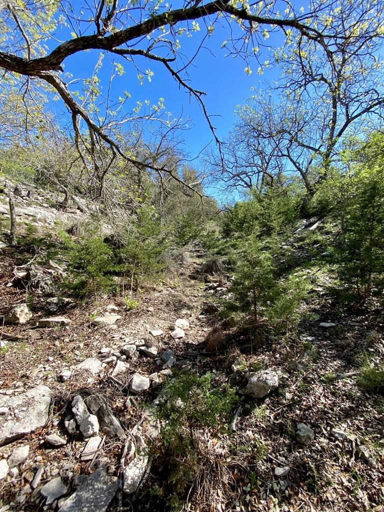 624 Deer Road, Unit 39 Fredericksburg, TX 78624 - Photo 24 of 43 Gallery Image 24