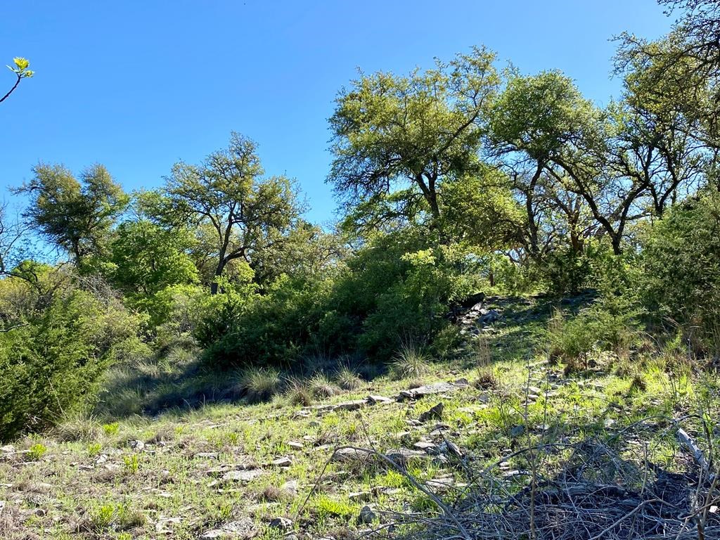 624 Deer Road, Unit 39 Fredericksburg, TX 78624 - Photo 28 of 43 Gallery Image 28