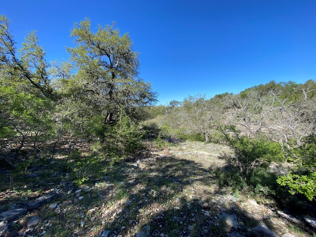 624 Deer Road, Unit 39 Fredericksburg, TX 78624 - Photo 5 of 43 Gallery Image 5