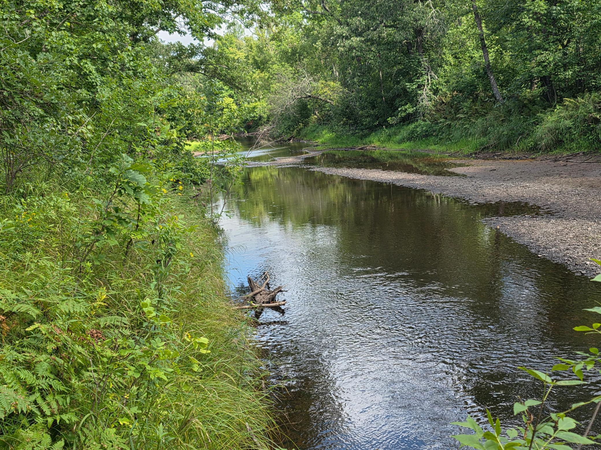 0 Markville Road Sandstone, MN 55072 - Photo 1 of 1