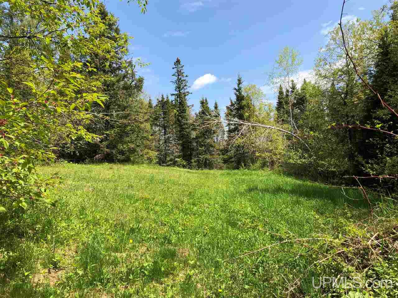 79.99-ac Off West Harding Road Bessemer, MI 49911 - Photo 22 of 33