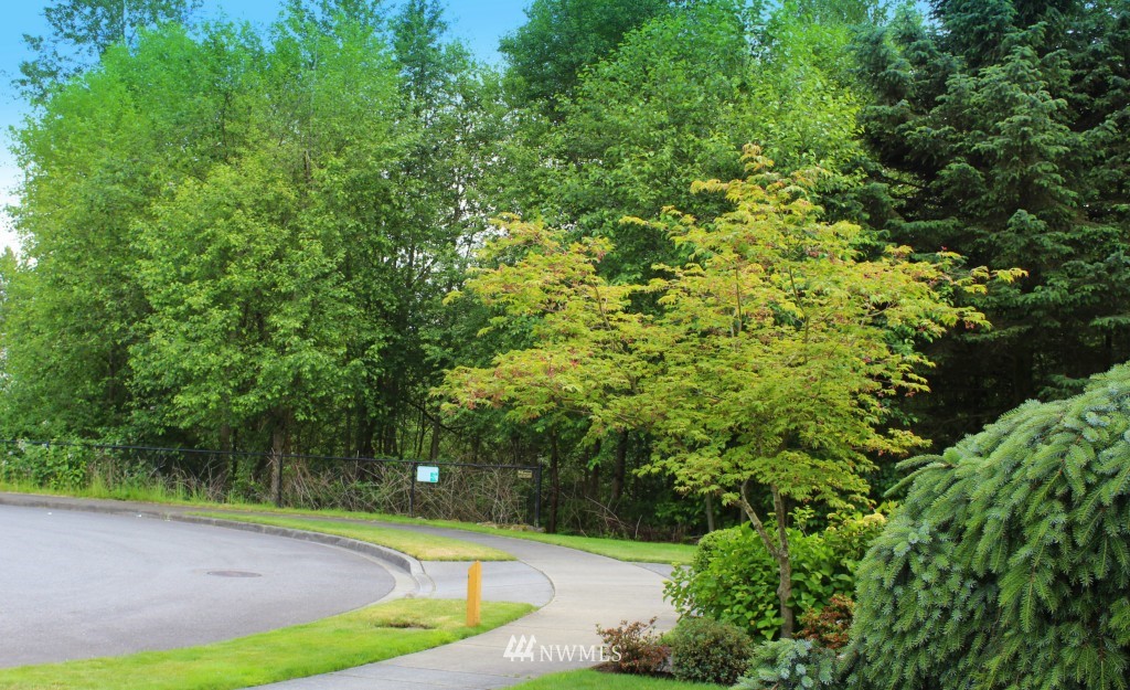 3729 160th Place Southeast Bothell, WA 98012 - Photo 2 of 19 Gallery Image 2