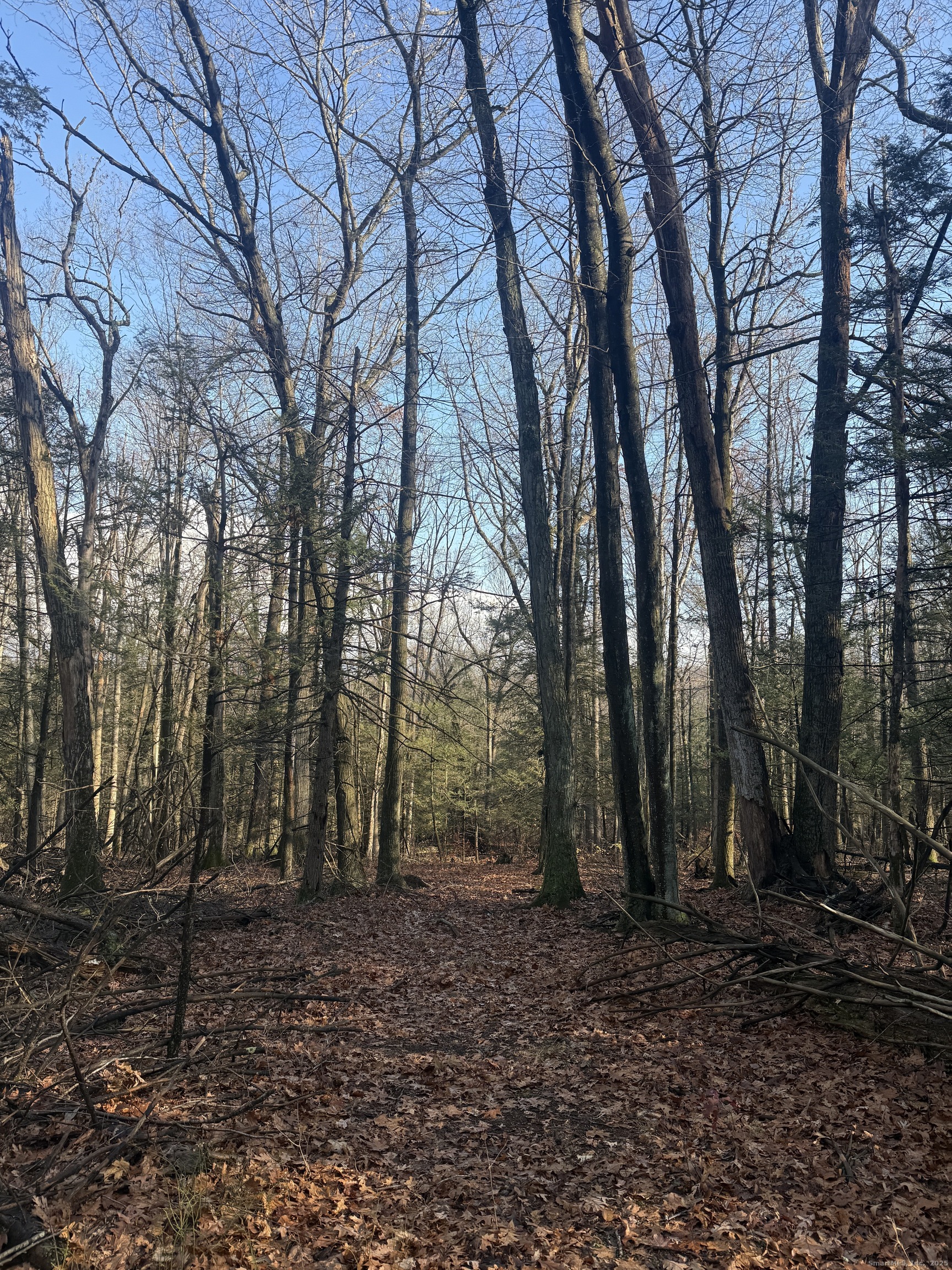 Country Club Road East Middletown, CT 06457 - Photo 15 of 15 a backyard of a house with lots of green space
