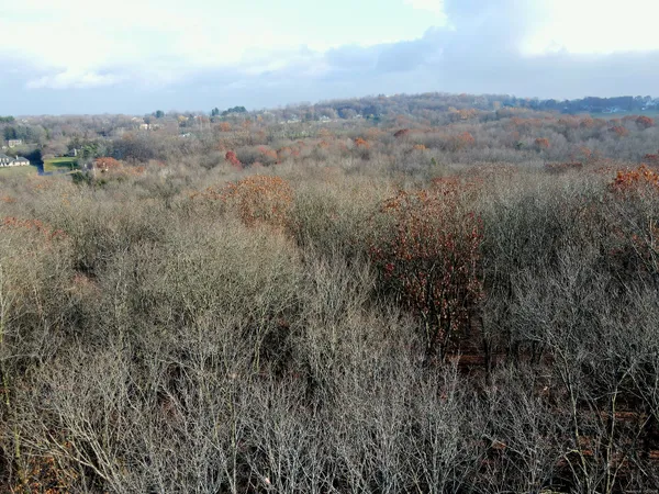 a view of city and mountain