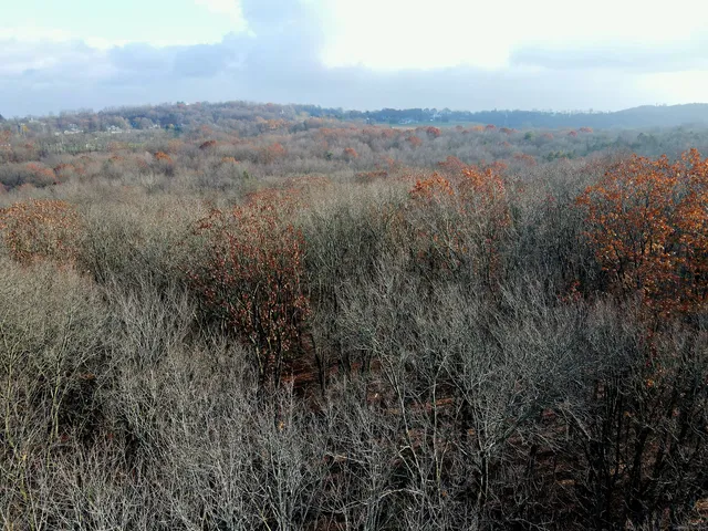 a view of city and mountain