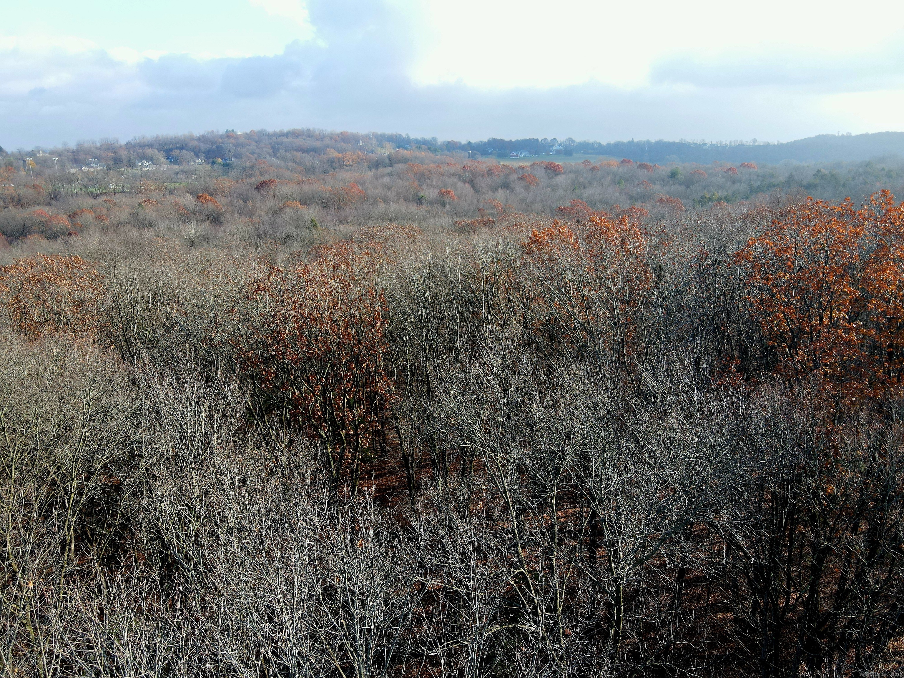 Country Club Road East Middletown, CT 06457 - Photo 4 of 15 a view of city and mountain
