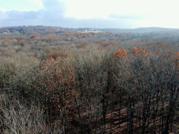 a view of city and mountain