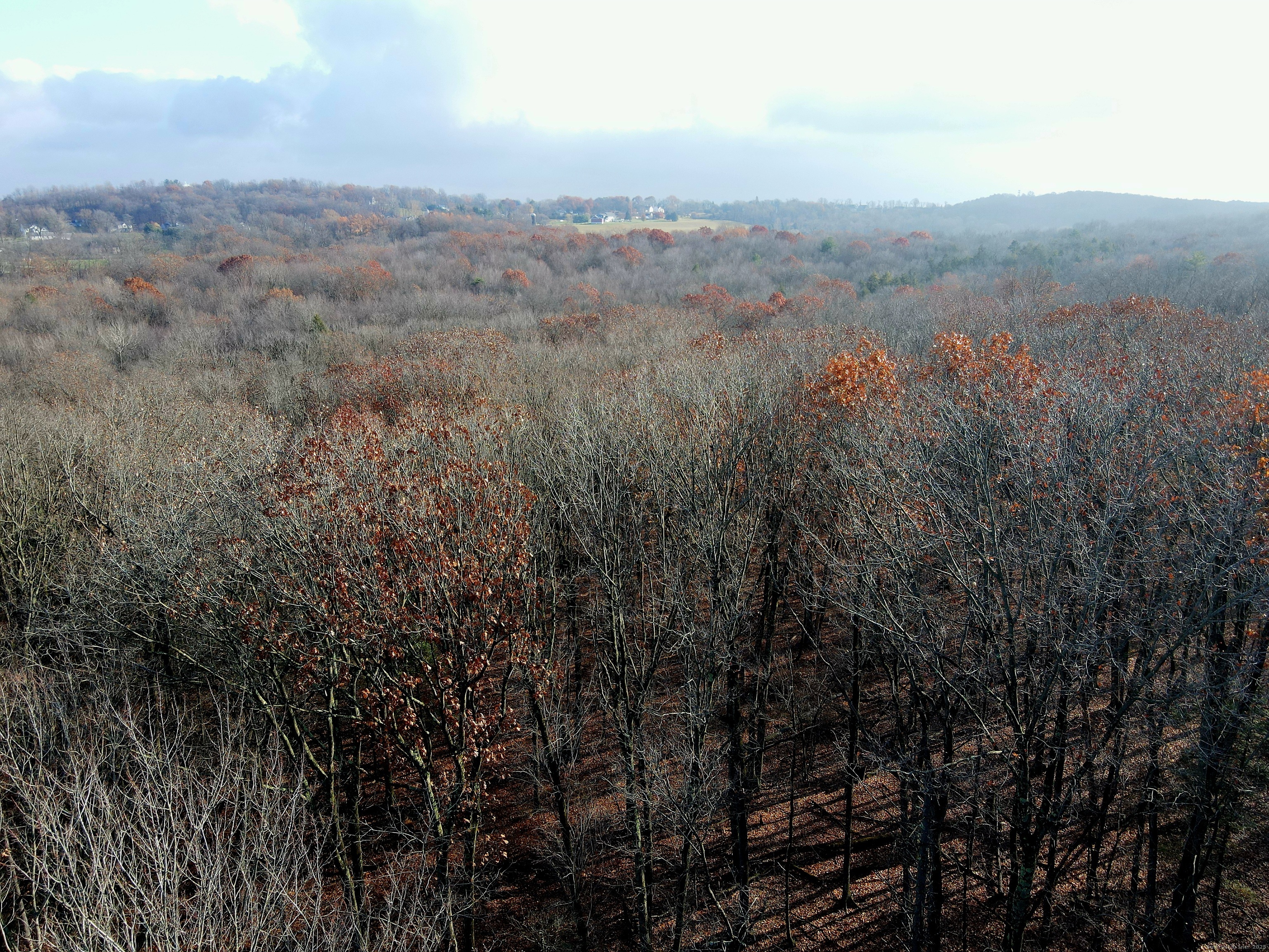 Country Club Road East Middletown, CT 06457 - Photo 5 of 15 a view of a city with lush green forest