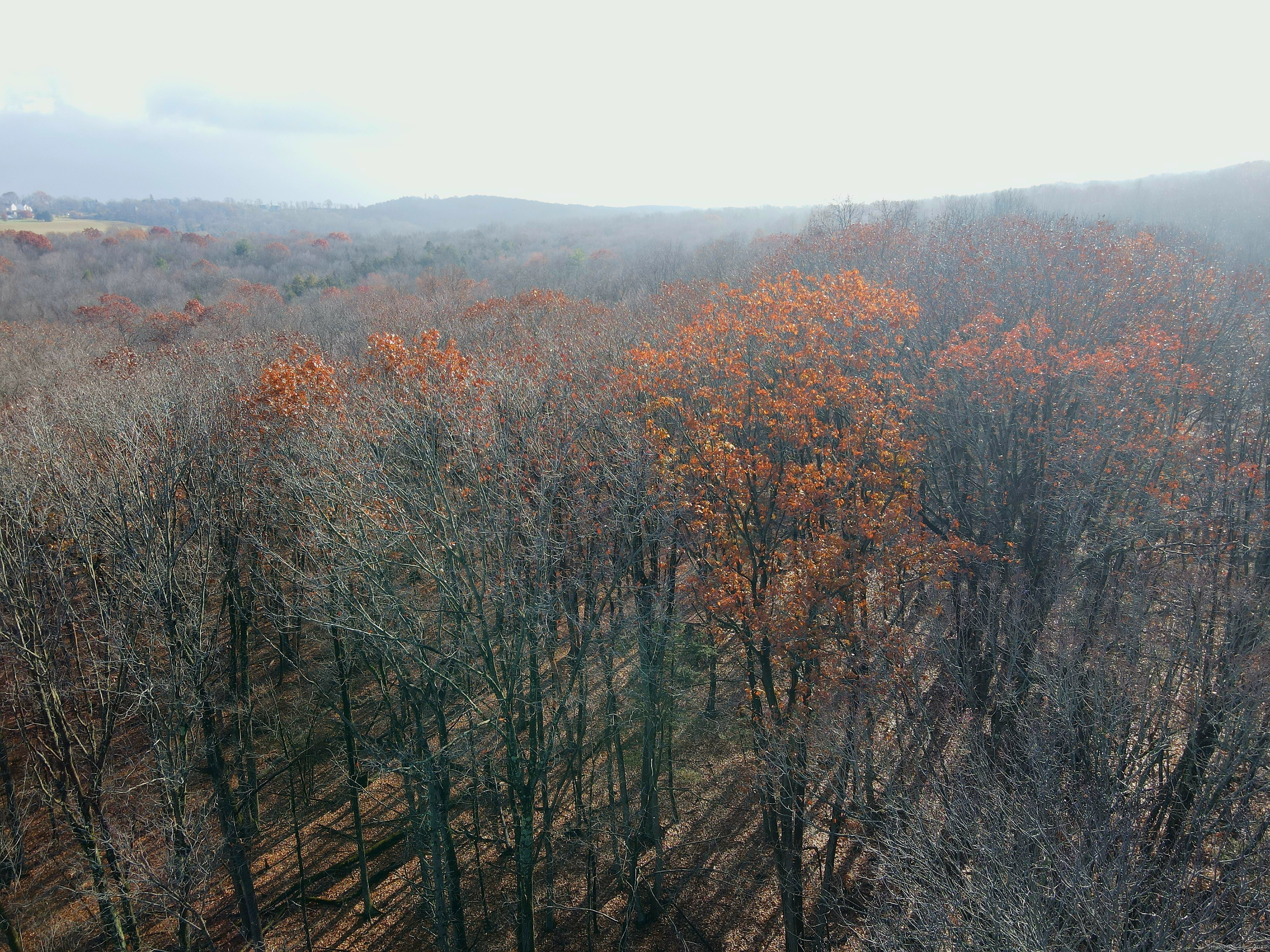 Country Club Road East Middletown, CT 06457 - Photo 6 of 15 a view of city and mountain