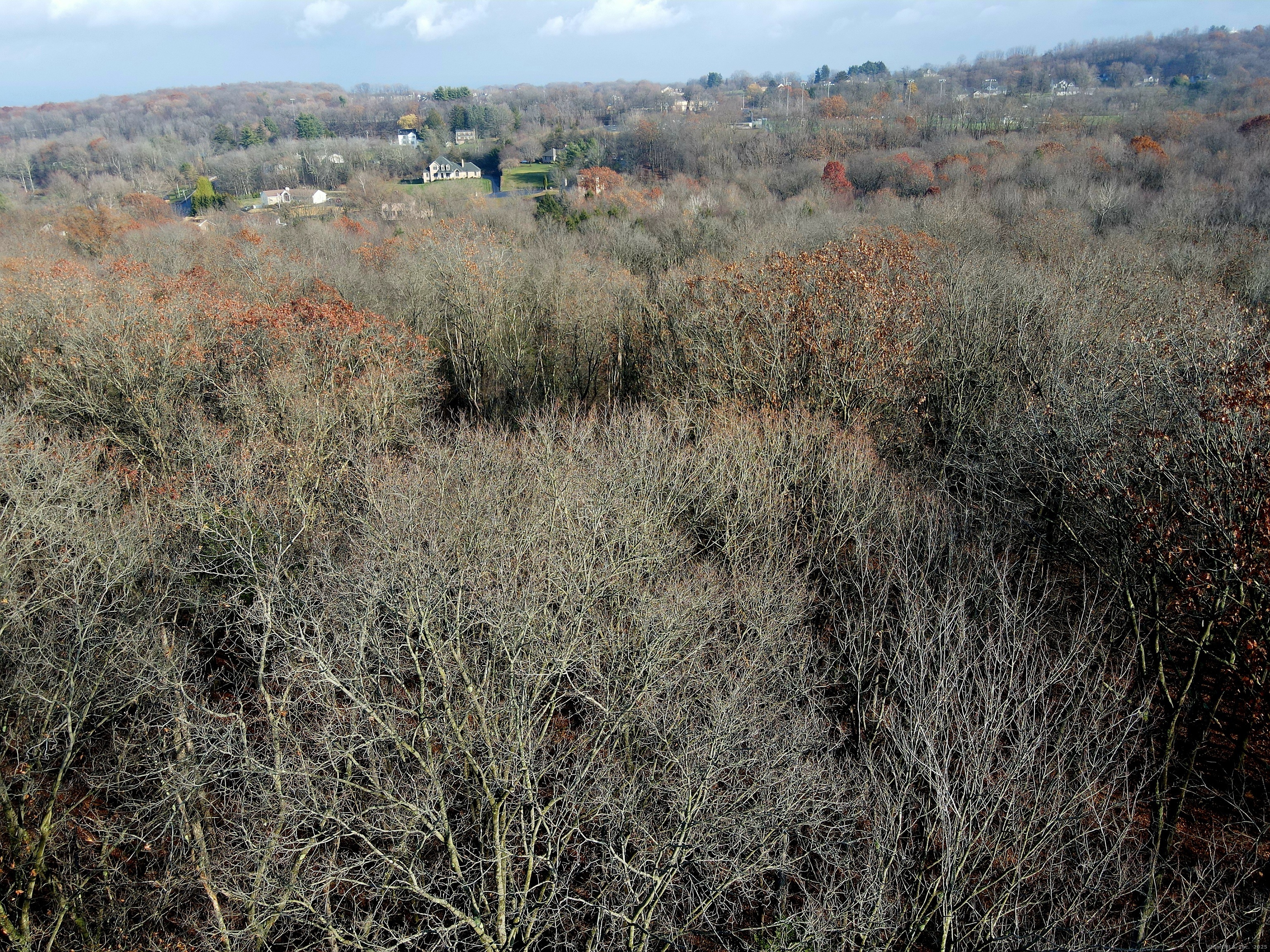 Country Club Road East Middletown, CT 06457 - Photo 7 of 15 a view of a lush green forest with trees and houses