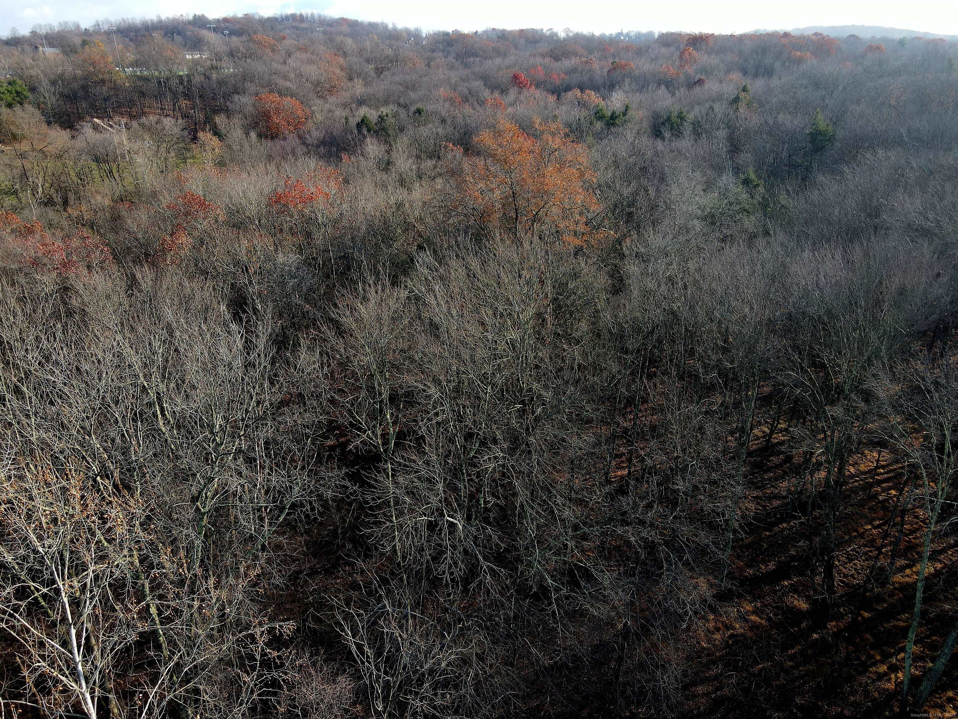 Country Club Road East Middletown, CT 06457 - Photo 8 of 15 a view of a lush green field
