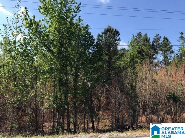 1 Shoal Creek Road, Unit 1 Ashville, AL 35953 - Photo 3 of 7