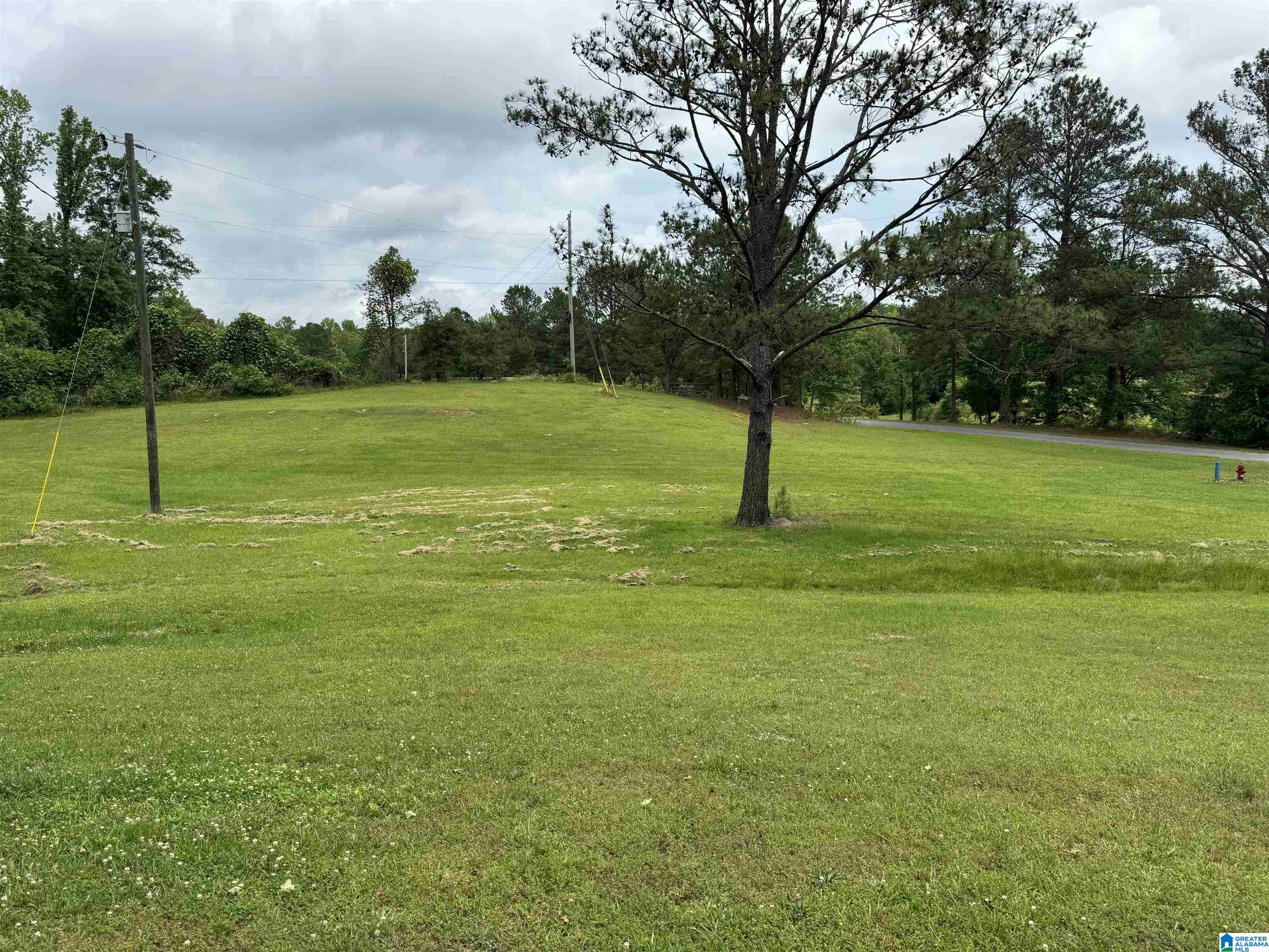 1237 County Road 195 Jemison, AL 35085 - Photo 5 of 15