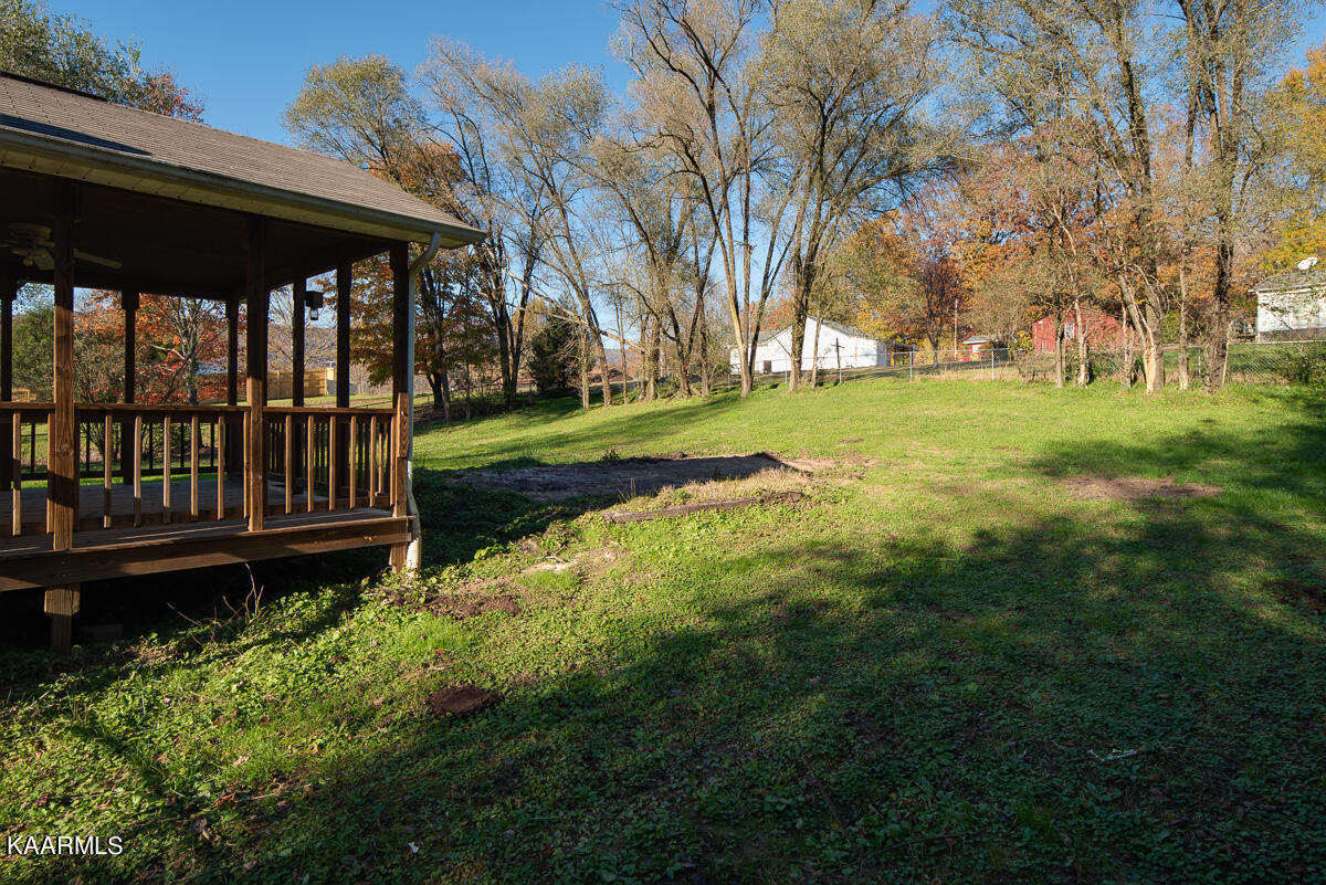 155 Pond Road Oliver Springs, TN 37840 - Photo 6 of 18 JBP_Pond155_Web-5