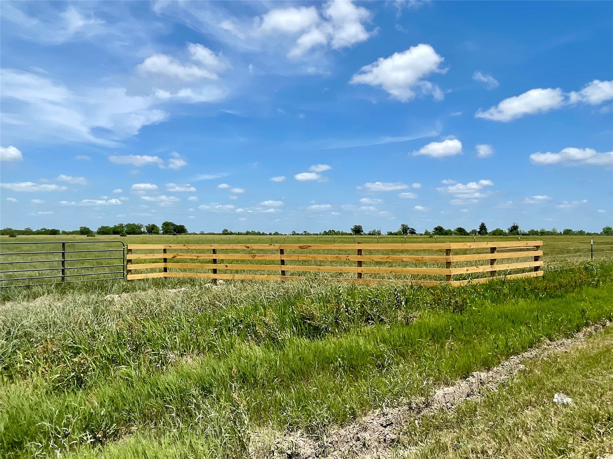 16 Barak Road Guy, TX 77444 - Photo 5 of 13